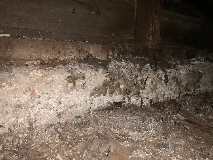 basement