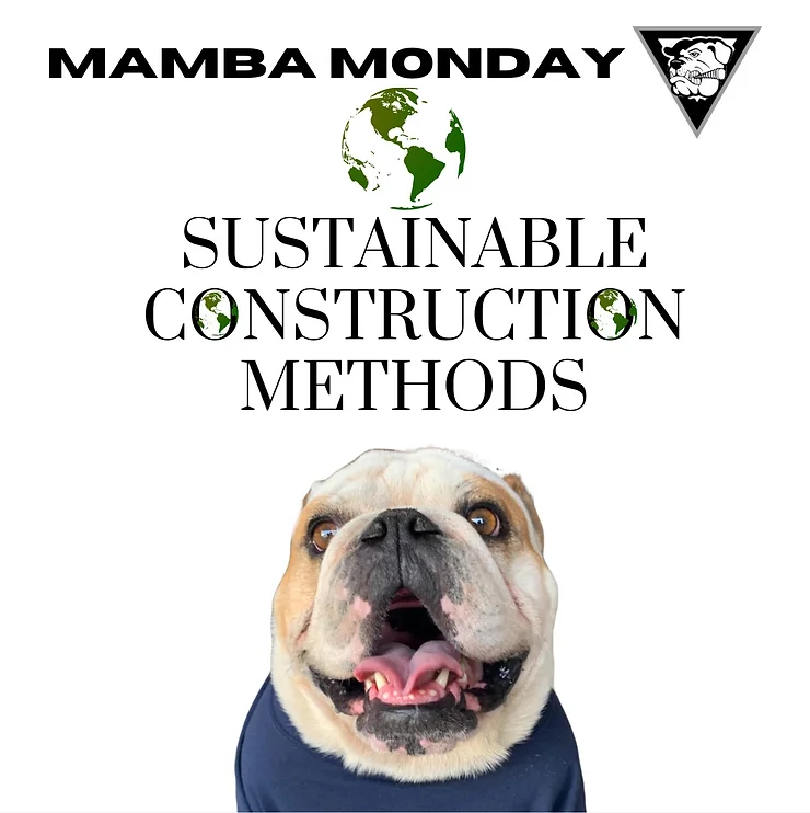 mamba methods