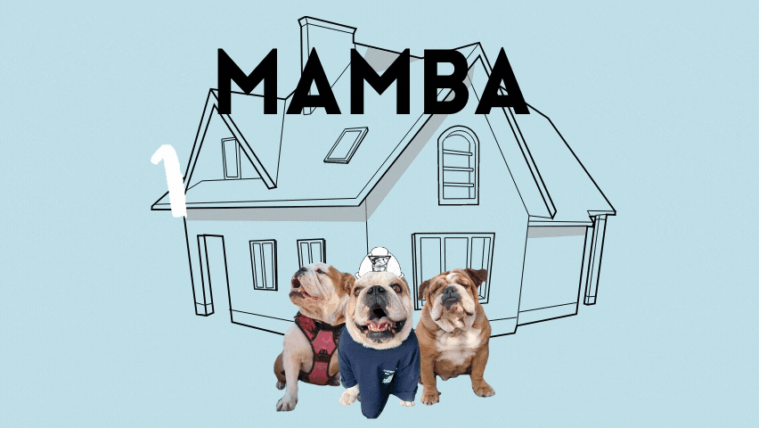 mamba monday gif